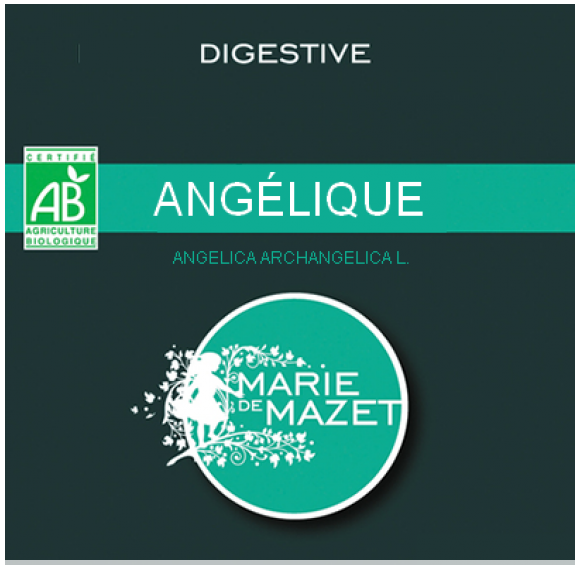 tisane regle douloureuse 8