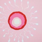 Les causes de l’anovulation : pourquoi je n’ovule pas ?
